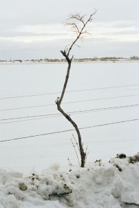 Branch-Montana--January-1st
