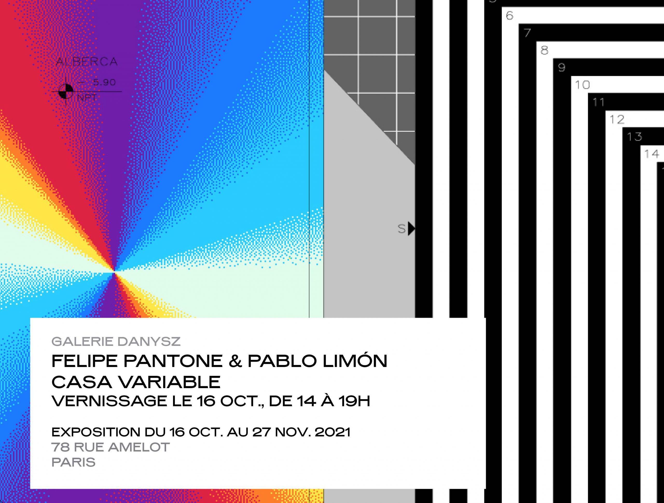 PANTONE & LIMON - DANYSZ